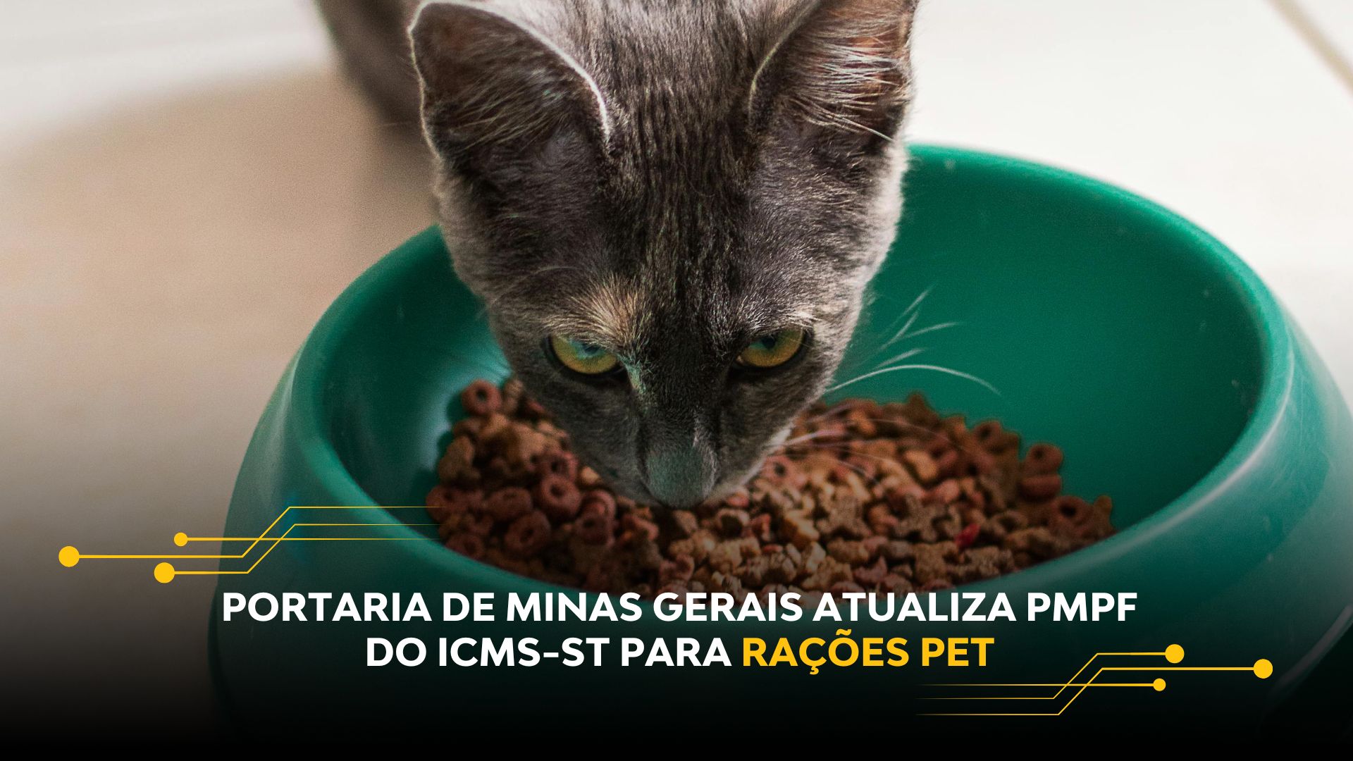 PORTARIA DE MINAS GERAIS ATUALIZA PMPF DO ICMS-ST PARA RAÇÕES PET